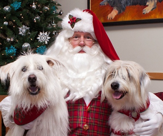 Santa Bruce Lowe and his best friends<br>